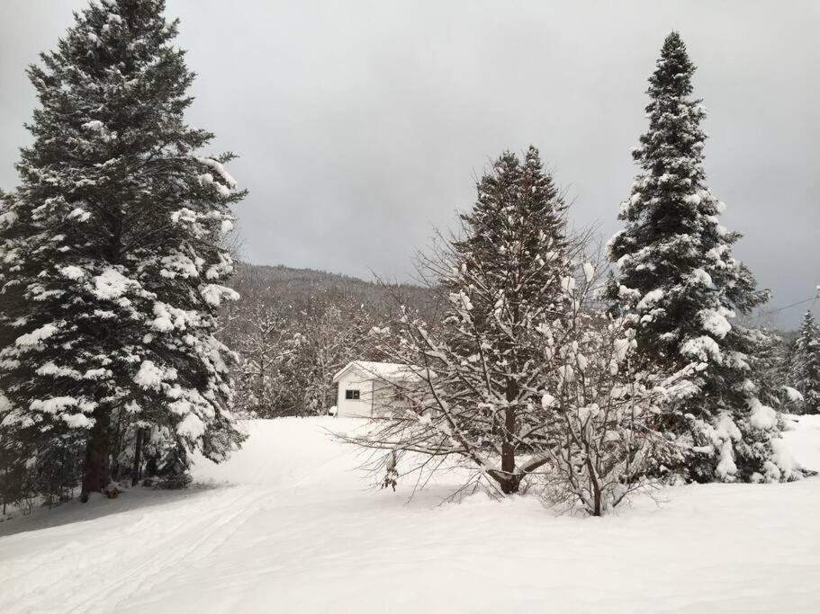 לה טוק Chalet Au Bord Du St-Maurice מראה חיצוני תמונה